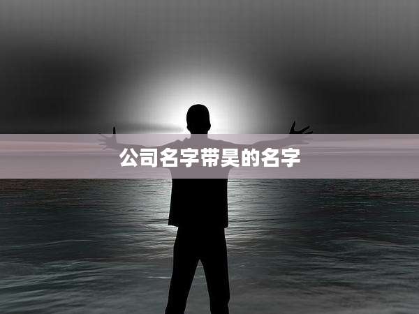 公司名字带昊的名字