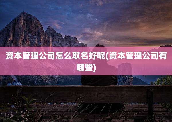 资本管理公司怎么取名好呢(资本管理公司有哪些)