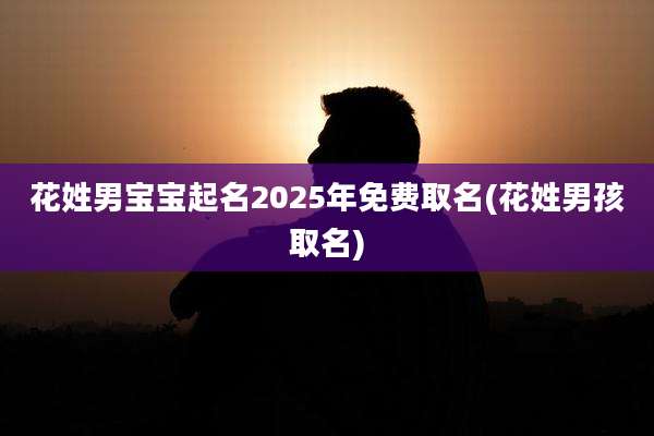 花姓男宝宝起名2025年免费取名(花姓男孩取名)