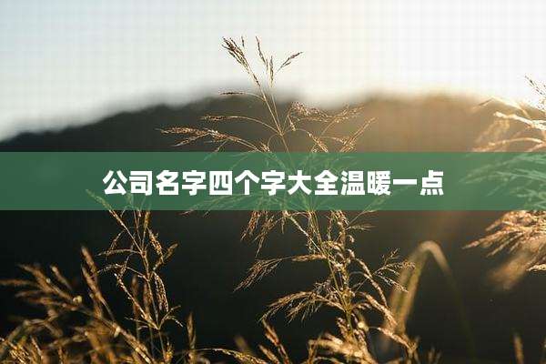公司名字四个字大全温暖一点