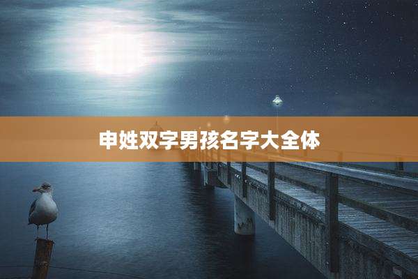 申姓双字男孩名字大全体