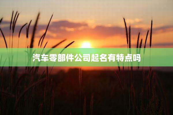 汽车零部件公司起名有特点吗