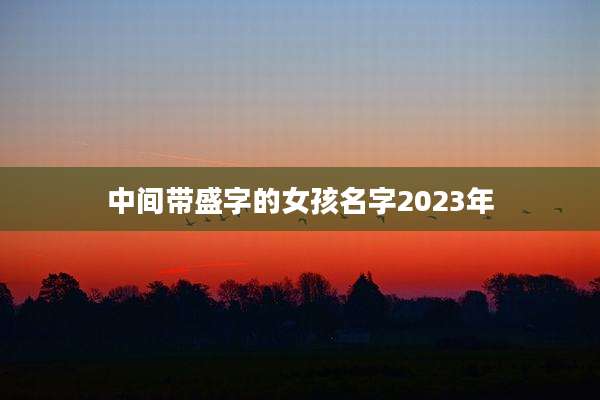 中间带盛字的女孩名字2023年