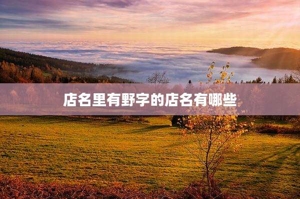 店名里有野字的店名有哪些