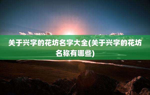 关于兴字的花坊名字大全(关于兴字的花坊名称有哪些)