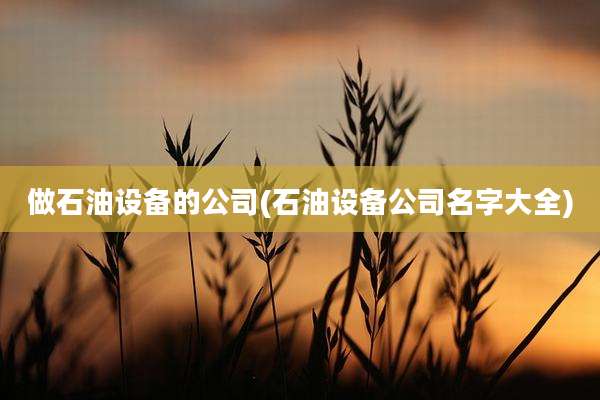 做石油设备的公司(石油设备公司名字大全)