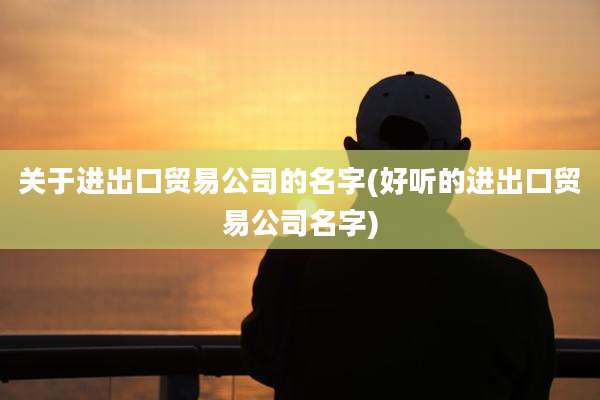 关于进出口贸易公司的名字(好听的进出口贸易公司名字)