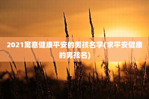 2021寓意健康平安的男孩名字(求平安健康的男孩名)