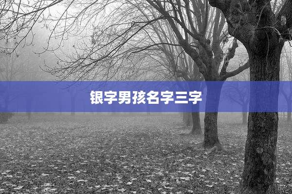 银字男孩名字三字