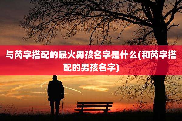 与芮字搭配的最火男孩名字是什么(和芮字搭配的男孩名字)