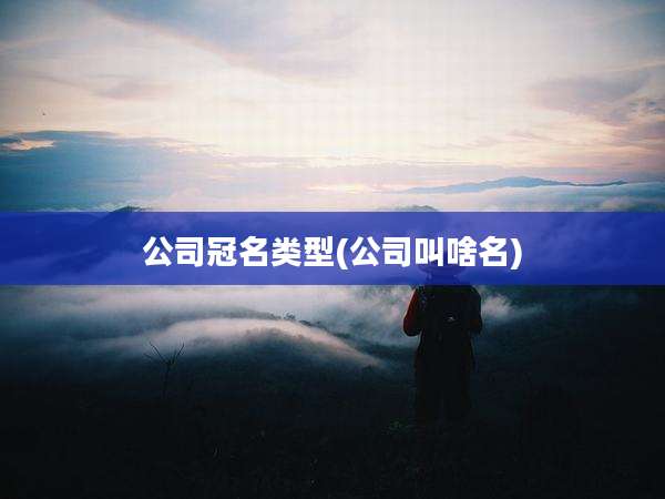 公司冠名类型(公司叫啥名)