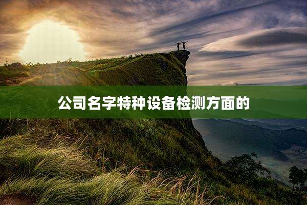 公司名字特种设备检测方面的