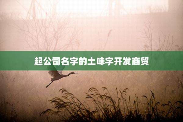 起公司名字的土味字开发商贸