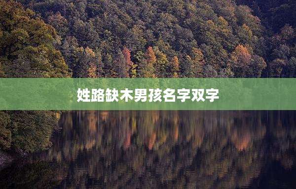 姓路缺木男孩名字双字