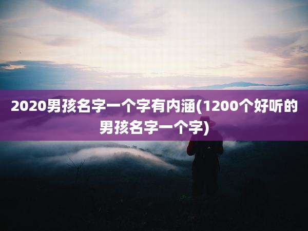 2020男孩名字一个字有内涵(1200个好听的男孩名字一个字)