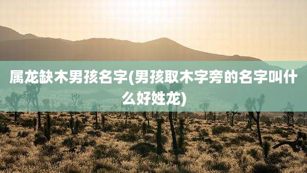 属龙缺木男孩名字(男孩取木字旁的名字叫什么好姓龙)