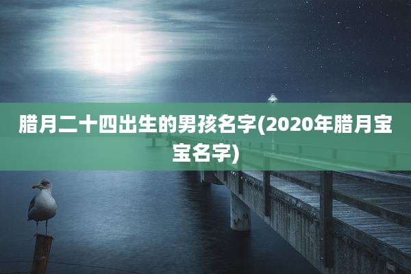 腊月二十四出生的男孩名字(2020年腊月宝宝名字)