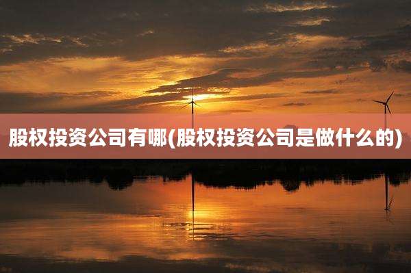 股权投资公司有哪(股权投资公司是做什么的)
