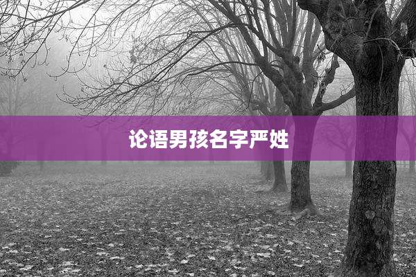 论语男孩名字严姓