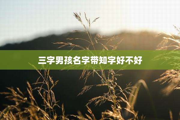 三字男孩名字带知字好不好