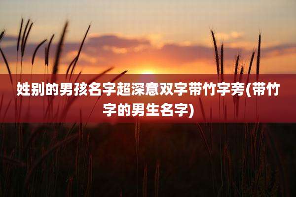 姓别的男孩名字超深意双字带竹字旁(带竹字的男生名字)