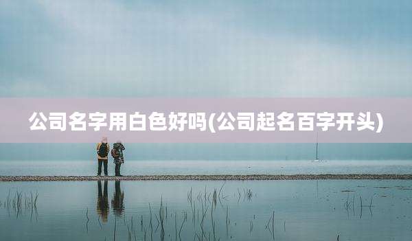 公司名字用白色好吗(公司起名百字开头)