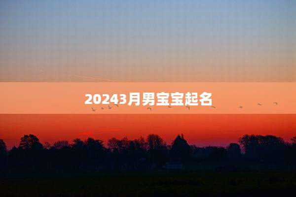20243月男宝宝起名