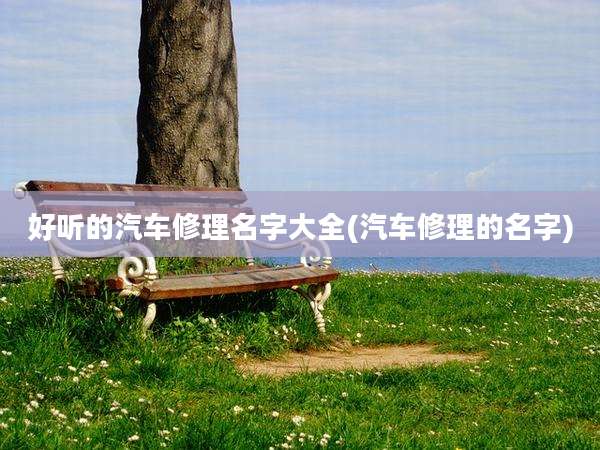好听的汽车修理名字大全(汽车修理的名字)