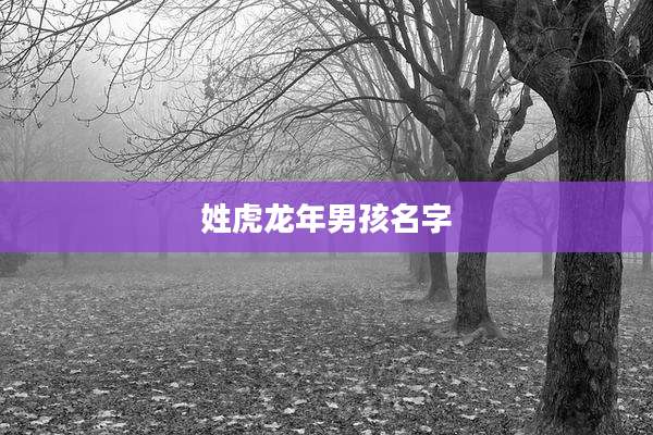 姓虎龙年男孩名字