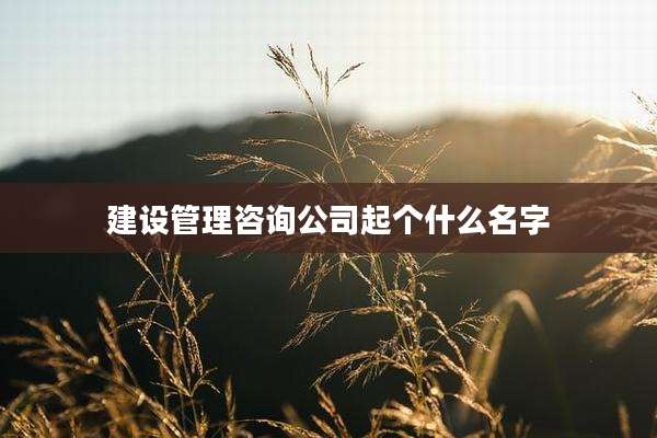 建设管理咨询公司起个什么名字