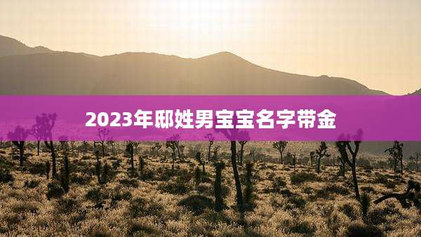 2023年邸姓男宝宝名字带金