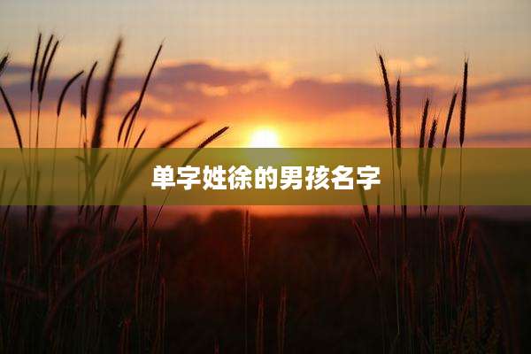 单字姓徐的男孩名字
