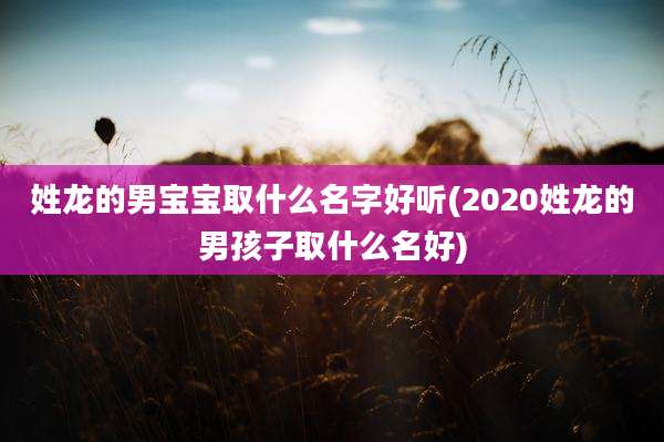 姓龙的男宝宝取什么名字好听(2020姓龙的男孩子取什么名好)