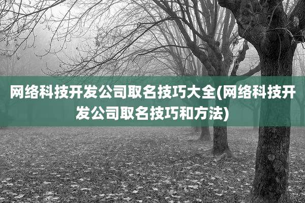 网络科技开发公司取名技巧大全(网络科技开发公司取名技巧和方法)
