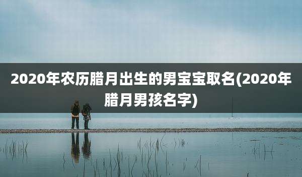 2020年农历腊月出生的男宝宝取名(2020年腊月男孩名字)