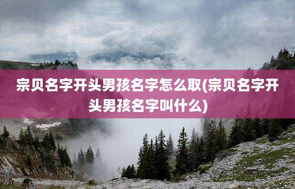 宗贝名字开头男孩名字怎么取(宗贝名字开头男孩名字叫什么)