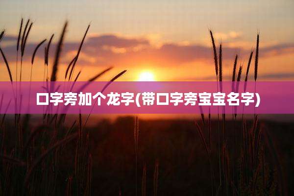 口字旁加个龙字(带口字旁宝宝名字)