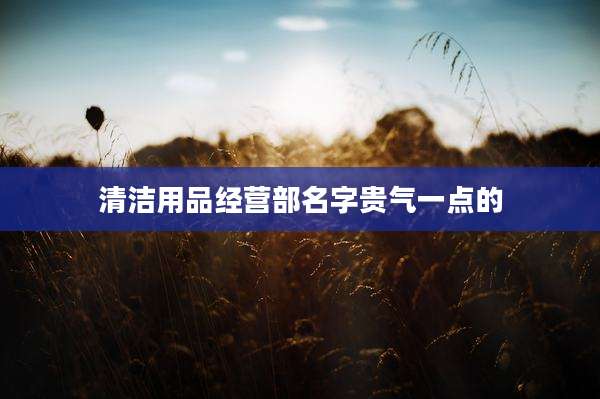 清洁用品经营部名字贵气一点的