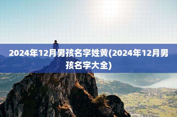 2024年12月男孩名字姓黄(2024年12月男孩名字大全)