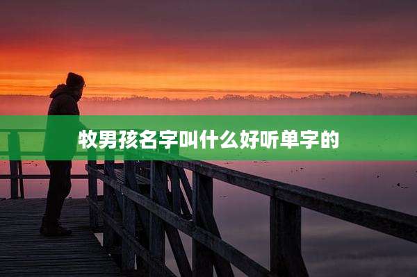 牧男孩名字叫什么好听单字的
