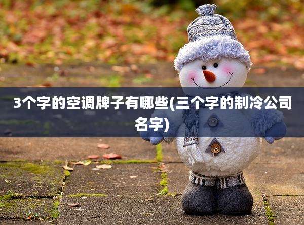 3个字的空调牌子有哪些(三个字的制冷公司名字)