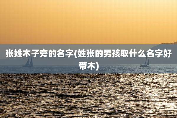 张姓木子旁的名字(姓张的男孩取什么名字好带木)