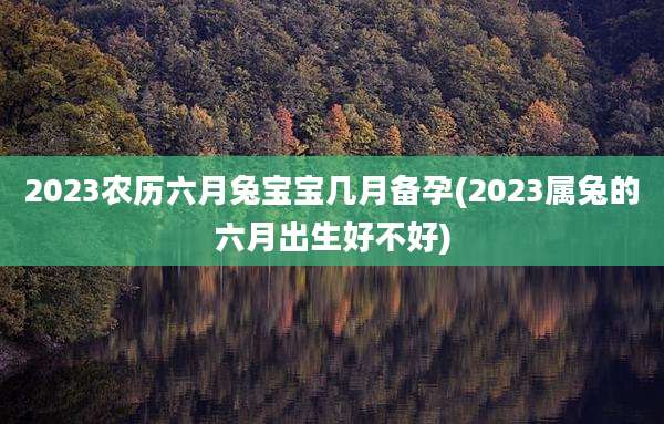 2023农历六月兔宝宝几月备孕(2023属兔的六月出生好不好)