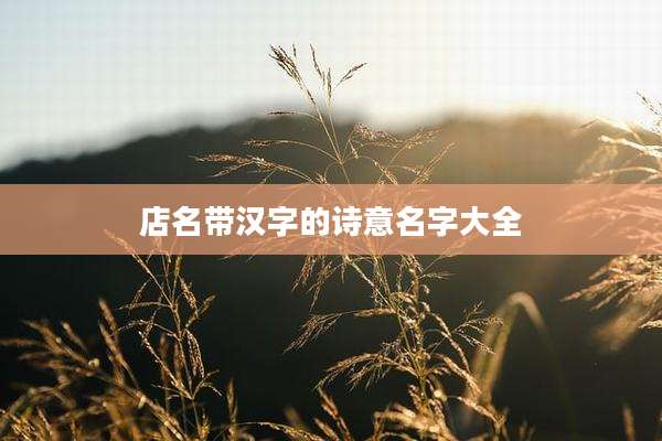 店名带汉字的诗意名字大全