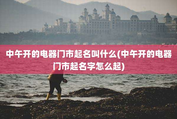 中午开的电器门市起名叫什么(中午开的电器门市起名字怎么起)