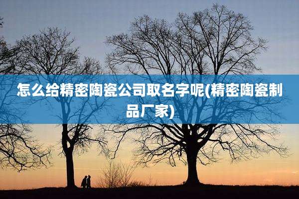怎么给精密陶瓷公司取名字呢(精密陶瓷制品厂家)