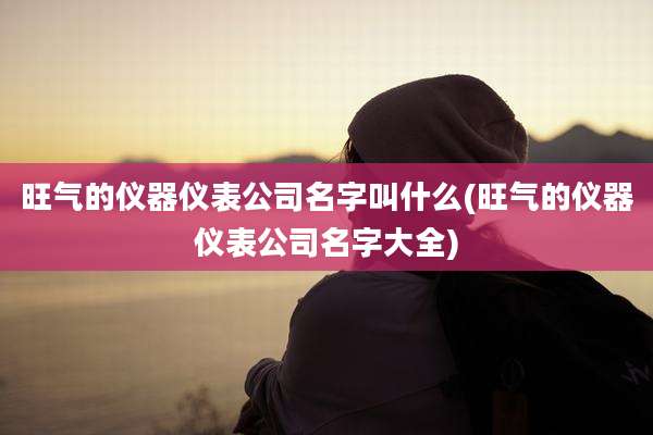 旺气的仪器仪表公司名字叫什么(旺气的仪器仪表公司名字大全)
