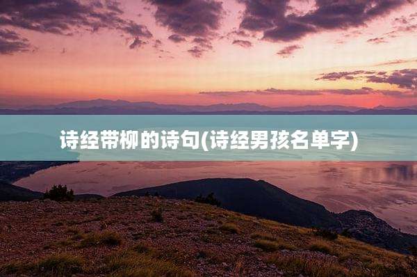 诗经带柳的诗句(诗经男孩名单字)