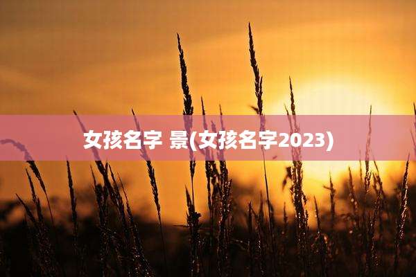 女孩名字 景(女孩名字2023)