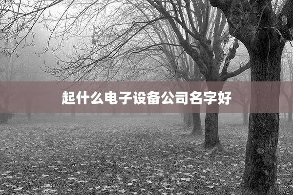 起什么电子设备公司名字好